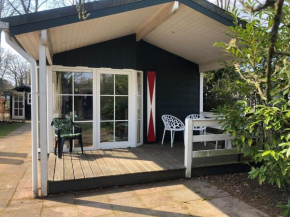 Cosy forest chalet in Voorthuizen with indoor and outdoor pool